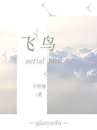 飞鸟相与还