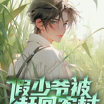 假少爷被赶回农村带妻儿逆袭人生_谢昭