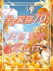 全家穿越七零
