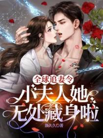 全球追妻令老婆离婚无效全文免费阅读txt