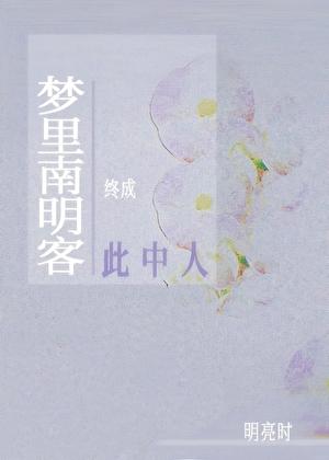 梦里南轲