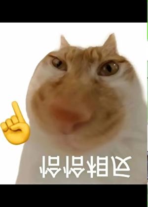 长生种开启了猎人朋友圈by炘光续昼