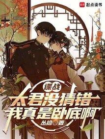 我真是卧底啊讲的什么