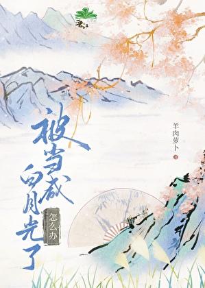 拐个太傅做相公