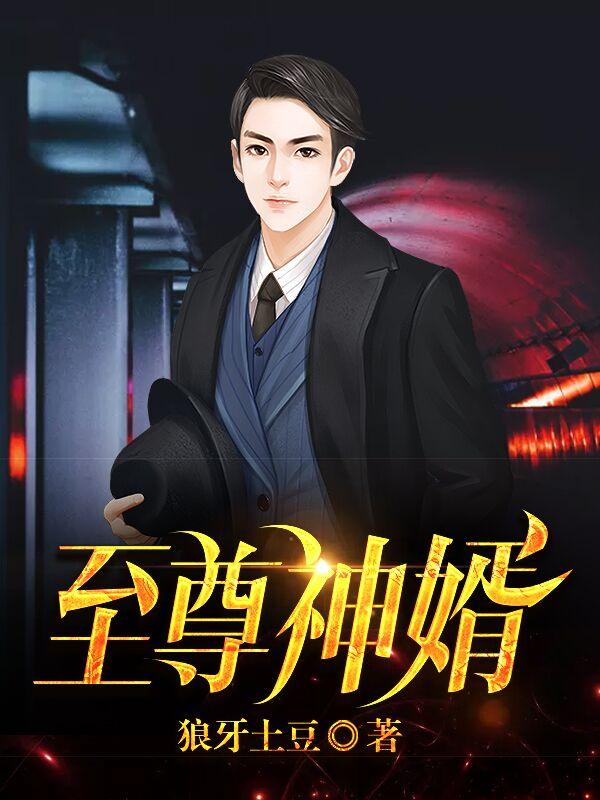至尊神婿叶昊第二部叫什么