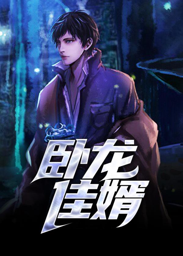 卧龙佳婿记小龙