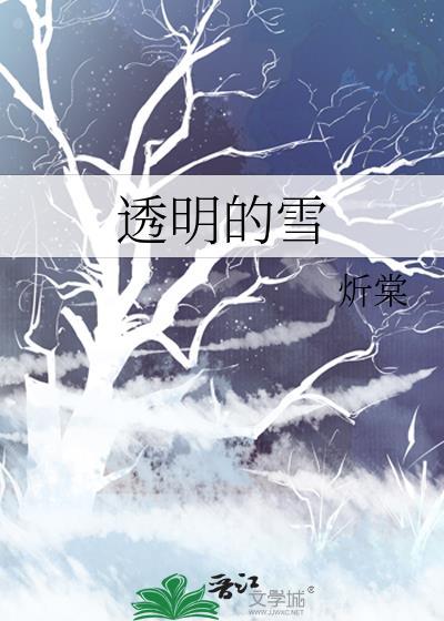 透明的雪免费笔趣阁