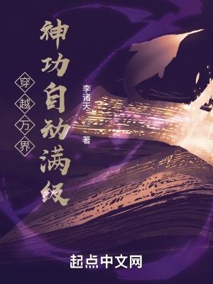 穿越万界神功自动满级起点中文网