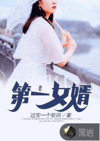 第一女婿完整版txt