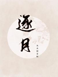 逐月吉星总局表