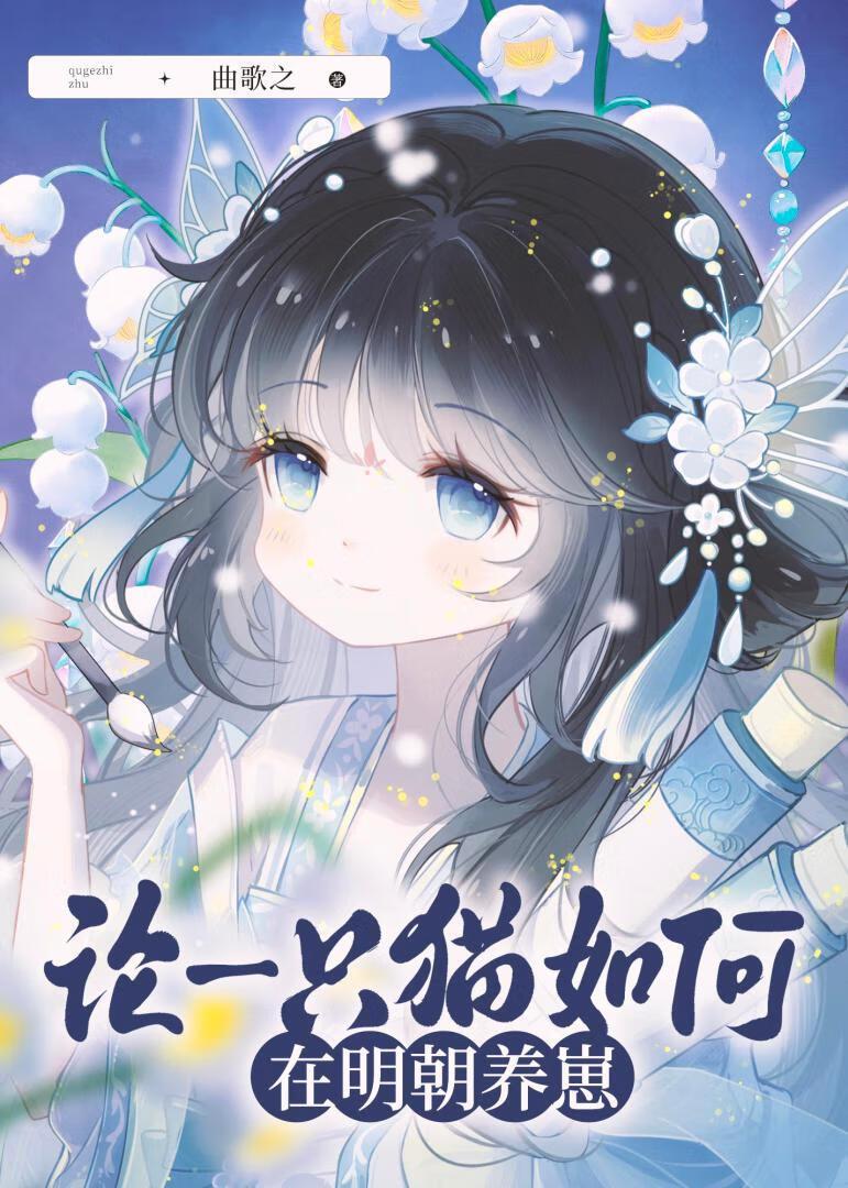 如何养一只猫咪