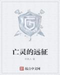 剑与远征后期亡灵阵容
