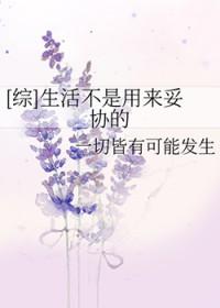 综 生活不是用来妥协的