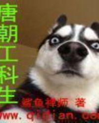 唐朝工科生 顶点
