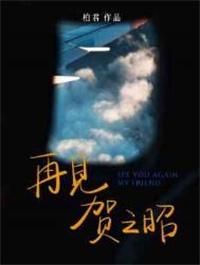 再见贺之昭讲的什么故事