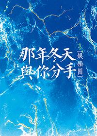 那年冬天