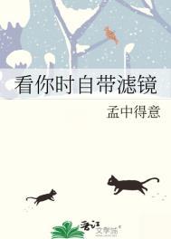 自带滤镜的意思