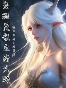 贵族领主