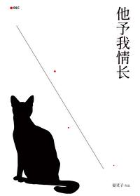 他予我情长讲的什么故事