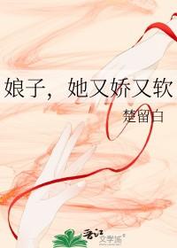 娘子她又娇又软gl晋江