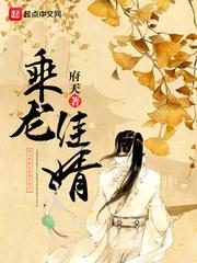 乘龙佳婿最正确生肖