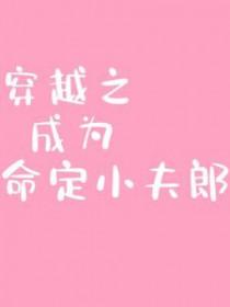 穿越之成为命定小夫郎重生