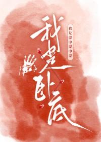 废土第一卧底朝曦