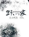 野心家橙光游戏制霸模式