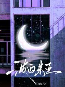 波西米亚地区