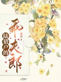 陆猎户的乖夫郎 听雨落