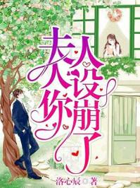 夫人你人设崩了作者洛心辰