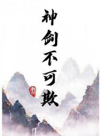 神剑不可欺讲好看吗