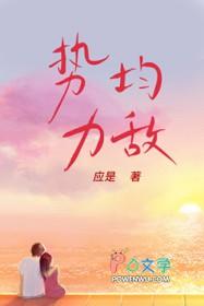 势均力敌打一物理名词