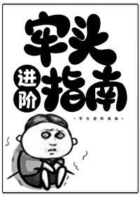 牢头进阶指南简介