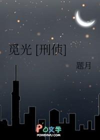 觅光刑侦txt