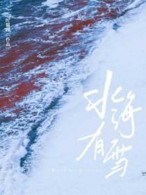 北海有雪免费阅读