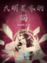 大明星家的猫在哪里看