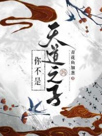 你不是天道之子吗晋江