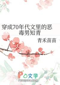 穿成70年代文里的恶毒男知青讲的什么