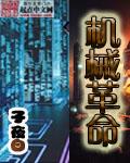 机械革命极光
