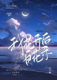 我花开后百花杀简介