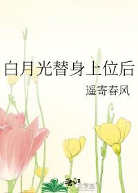 白月光替身gl