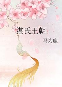 湛氏是个怎样的人