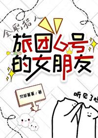 全职猎人旅团篇