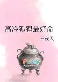 高冷的狐狸