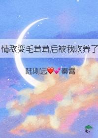 情敌变成了我的猫怎么办在线等急txt百度