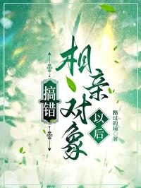 搞错相亲对象以后夏言