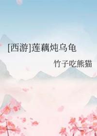 西游莲藕炖乌龟TXT