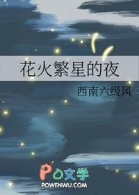 繁星焰火txt