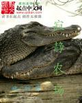 寂静村守点